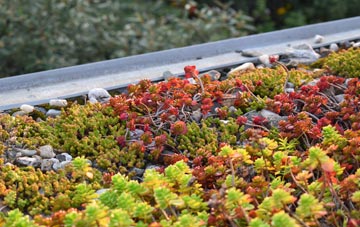 the cost of Annis Hill green roof installation