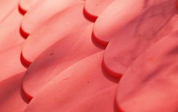 Annis Hill plastic roof costs