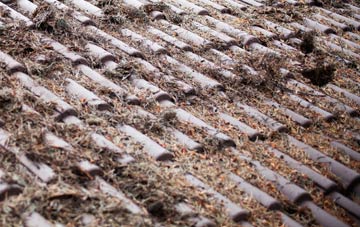 Annis Hill roof cleaning companies