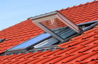 Annis Hill roof window